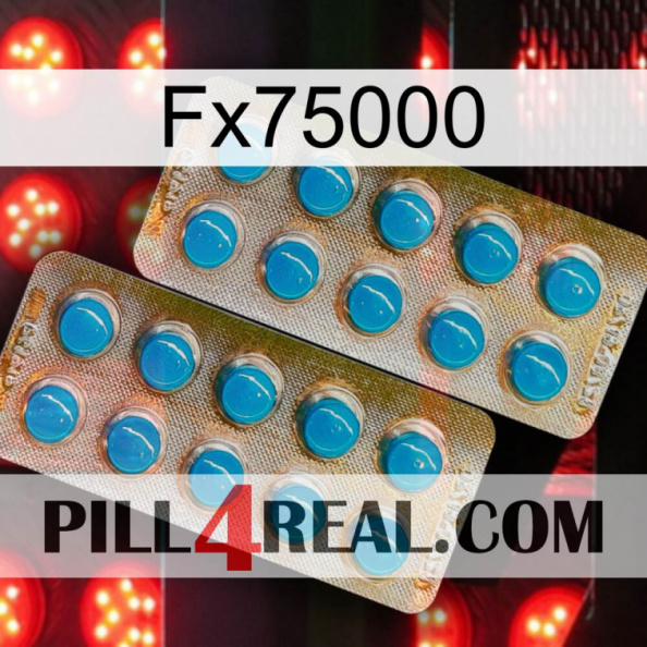 Fx75000 new08